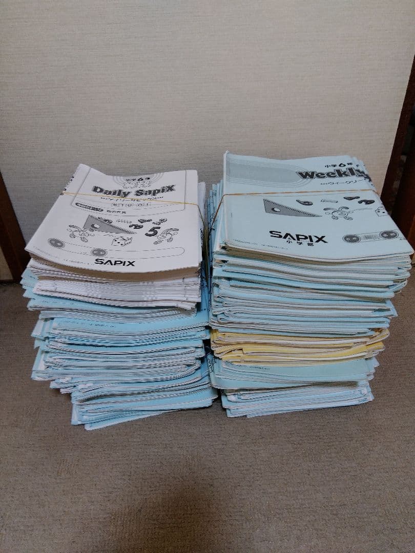 2024年度 サピックス SAPIX 小学6年 算数 ディリーサピックス