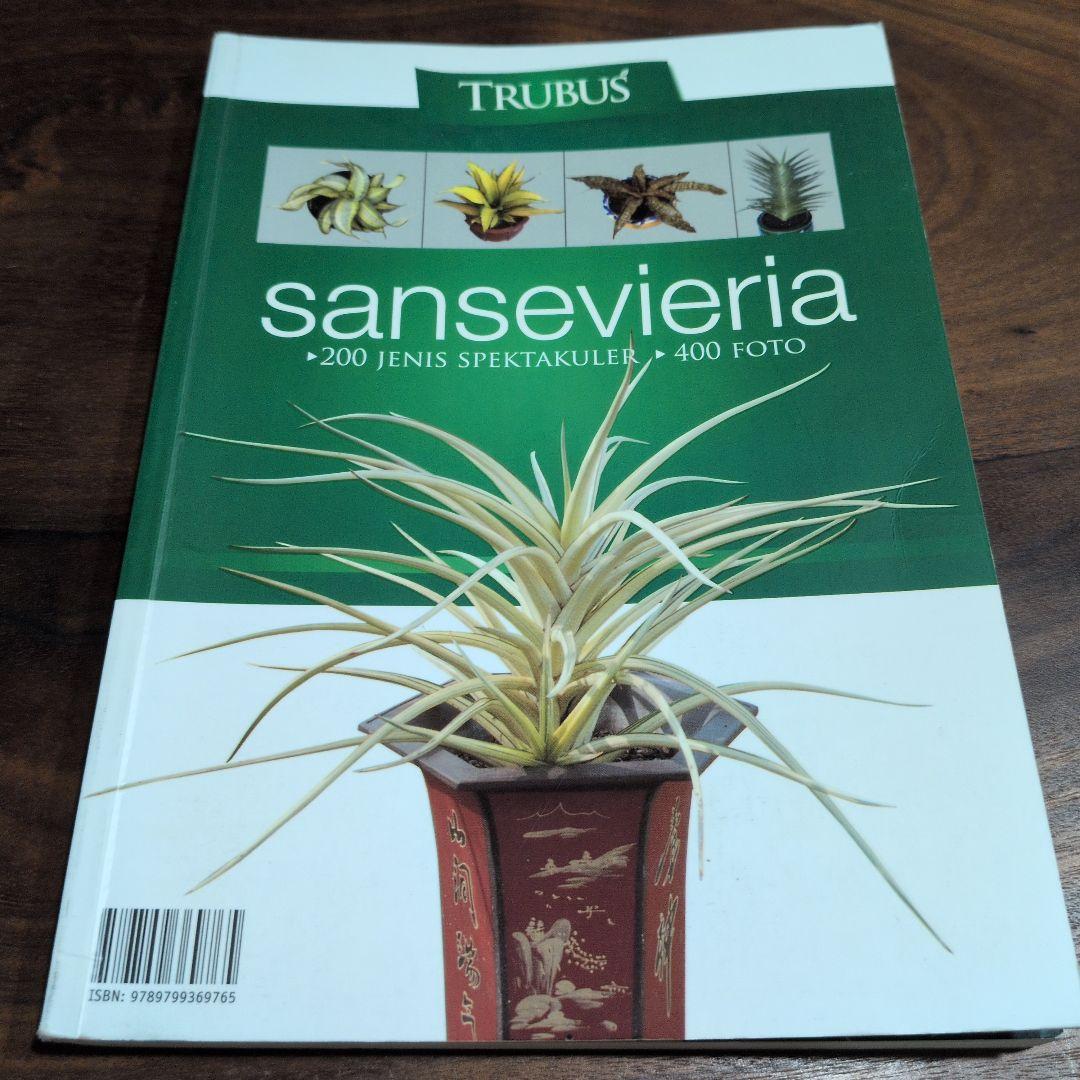 TRUBUS sansevieria 200種のサンスベリア