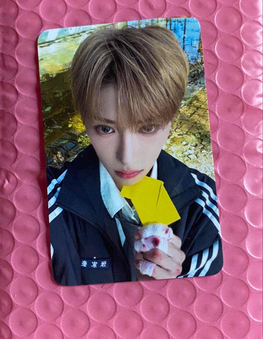 alphadriveone ald1 ショーケース　アルノ　ジアハオ トレカ