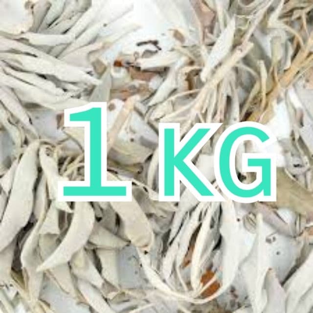 激安価格タイムセール☆無農薬ホワイトセージ枝付きクラスター１ｋｇ