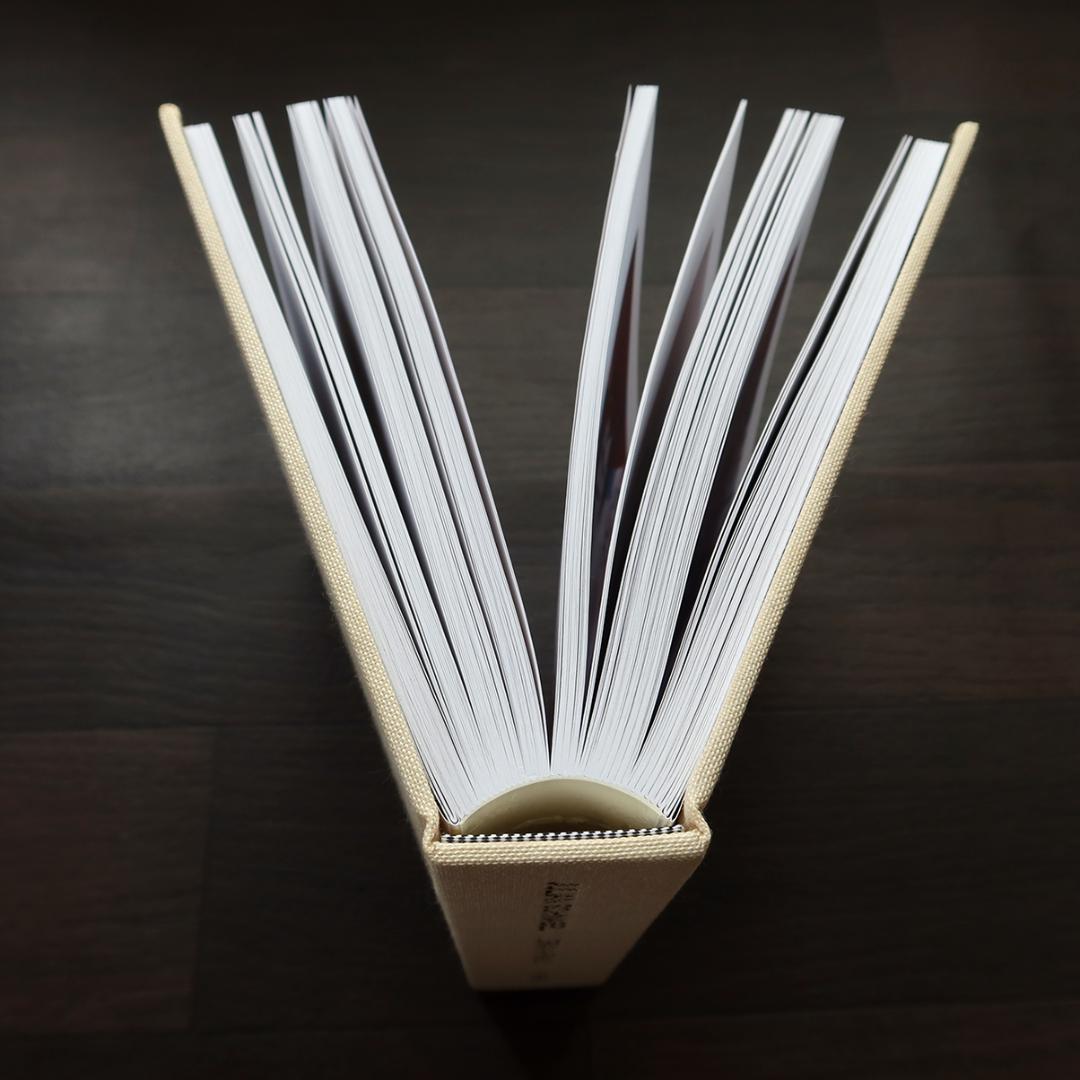 DRAW A FAMILY（JULIAN SCHNABEL）