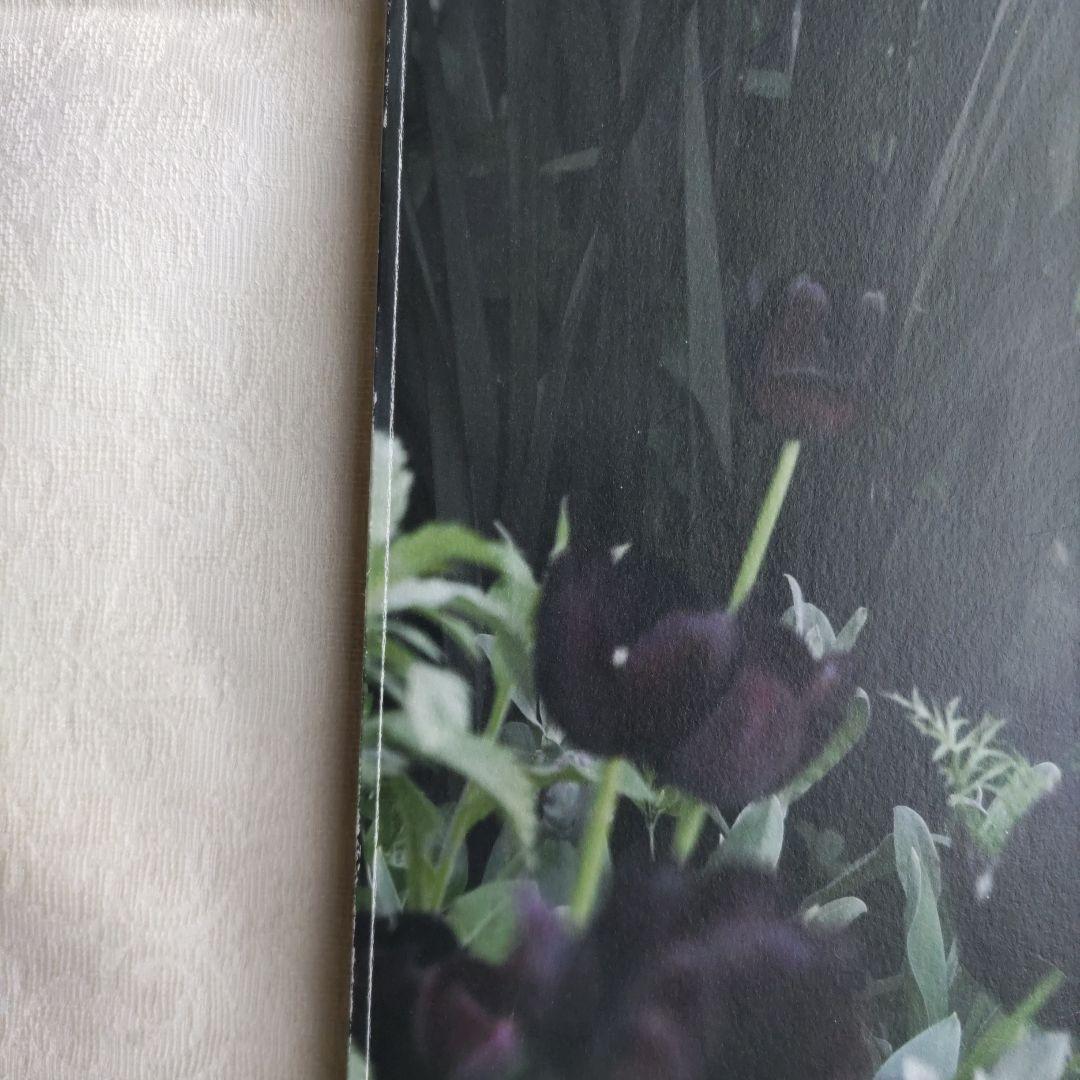 GARDENS LIFE 1, 2, 3 セット