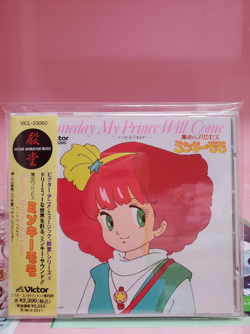 魔法のプリンセス ミンキーモモ　いつか王子様が・・・