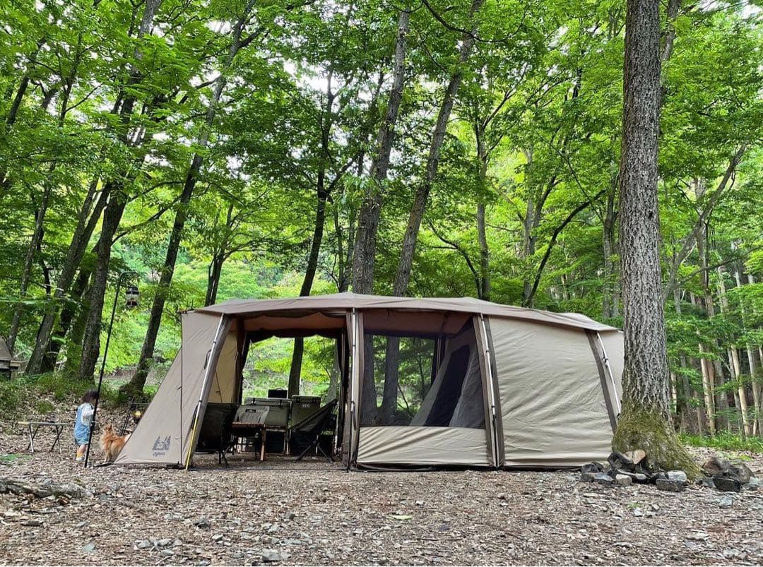 【ジャンク品】アポロン オガワ