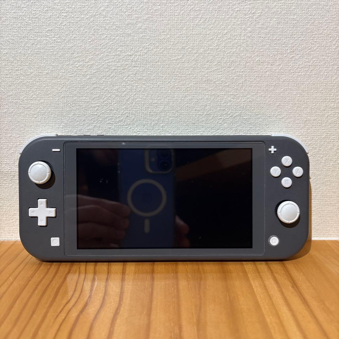 ニンテンドーSwitch Light グレー　充電器付き
