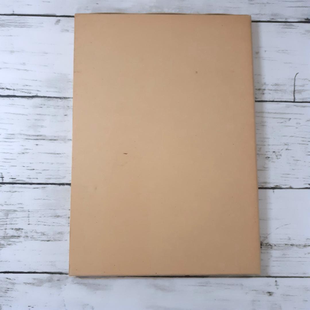 兵庫県赤穂郡西野山第三号墳　有年考古館研究報告第一集