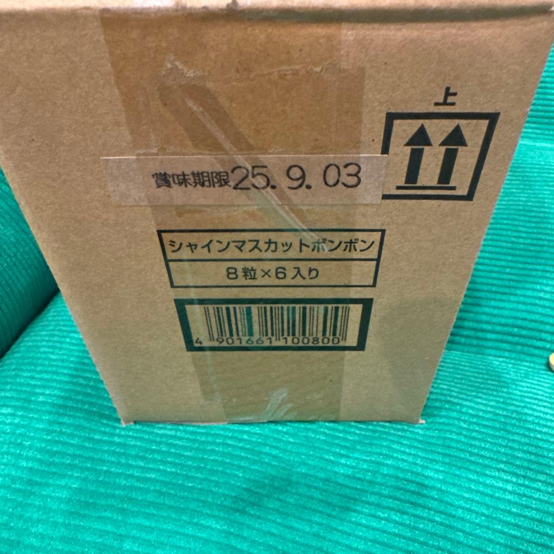 シャインマスカットボンボン　1ケース　6袋　新品未開封