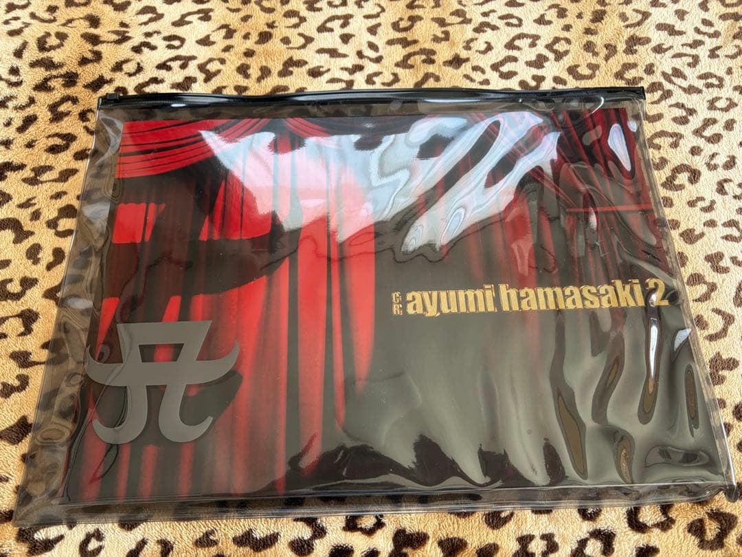 非売品❤︎浜崎あゆみ❤︎特大パンフレット・クリアケース付