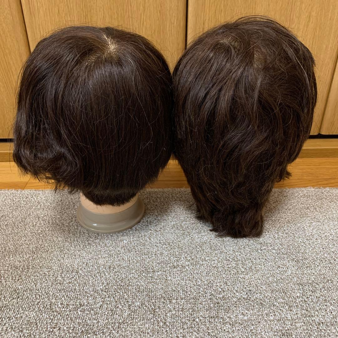 カットウィッグ　練習用　まとめ売り　12体