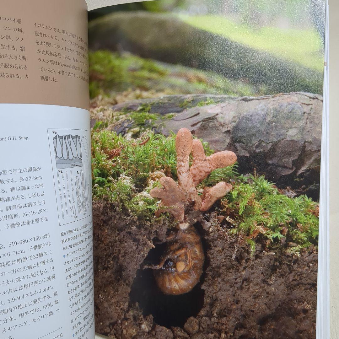 冬虫夏草生態図鑑 採集・観察・分類・同定、効能から歴史まで 240種類