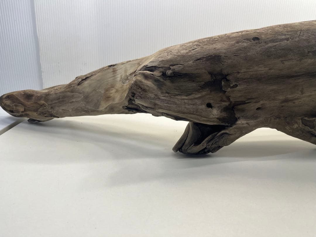 V84特大流木 アク抜き済み流木 爬虫類シェルター 登り木 インテリア 生け花