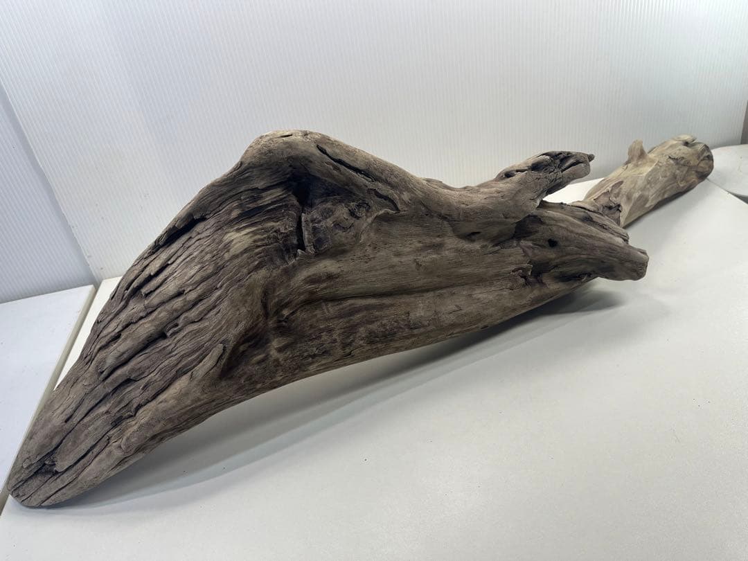 V84特大流木 アク抜き済み流木 爬虫類シェルター 登り木 インテリア 生け花