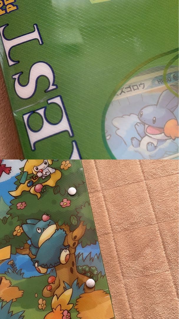 【レア】ポケモンカード ポケパーク フォレストシート