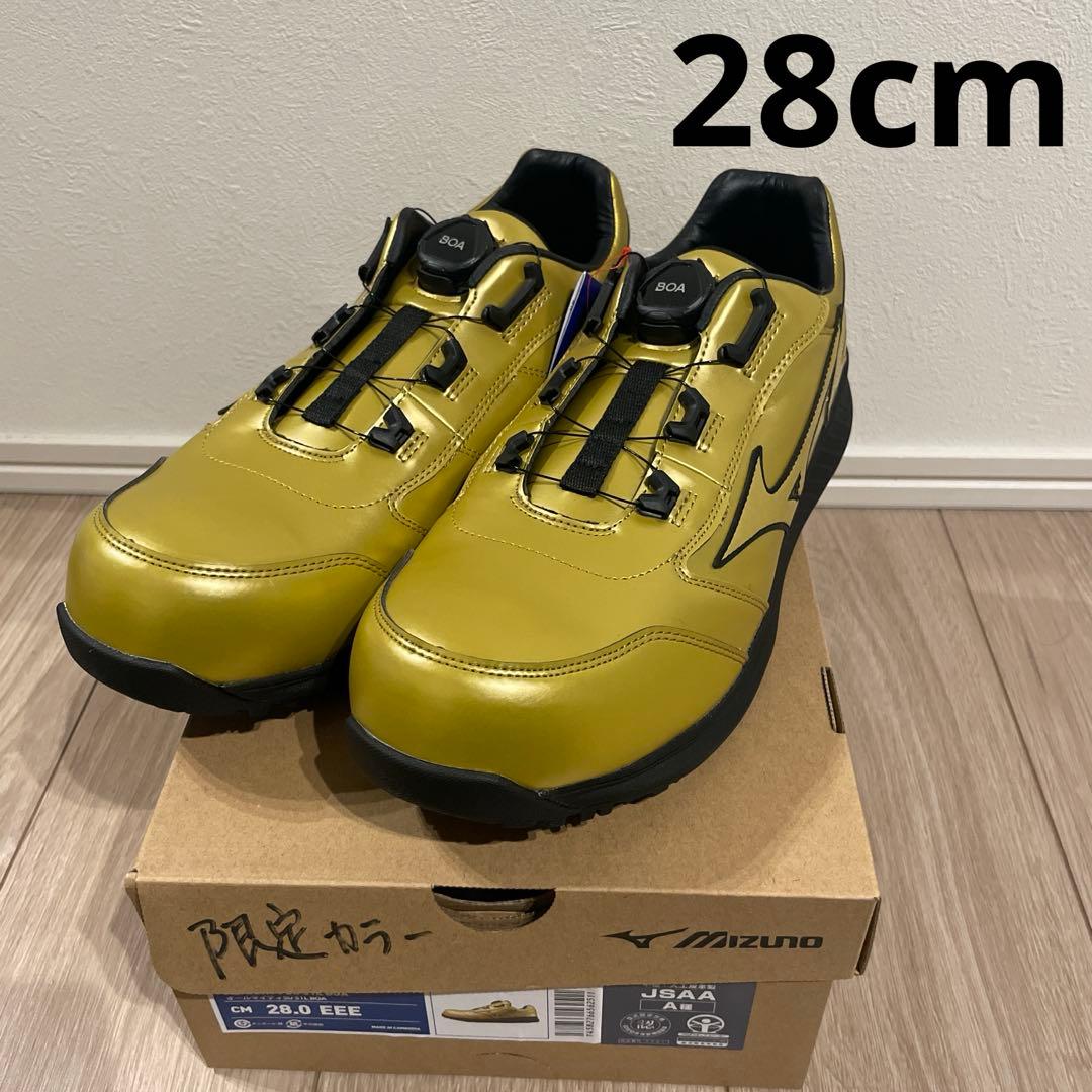 ミズノ 安全靴 F1GA251399 28センチ