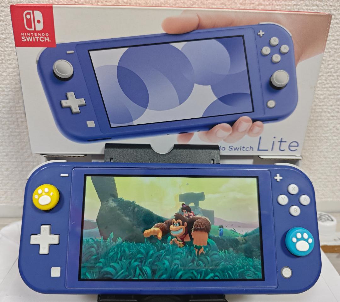 Nintendo Switch Lite 本体 ブルー 美品 ケース カバー付き
