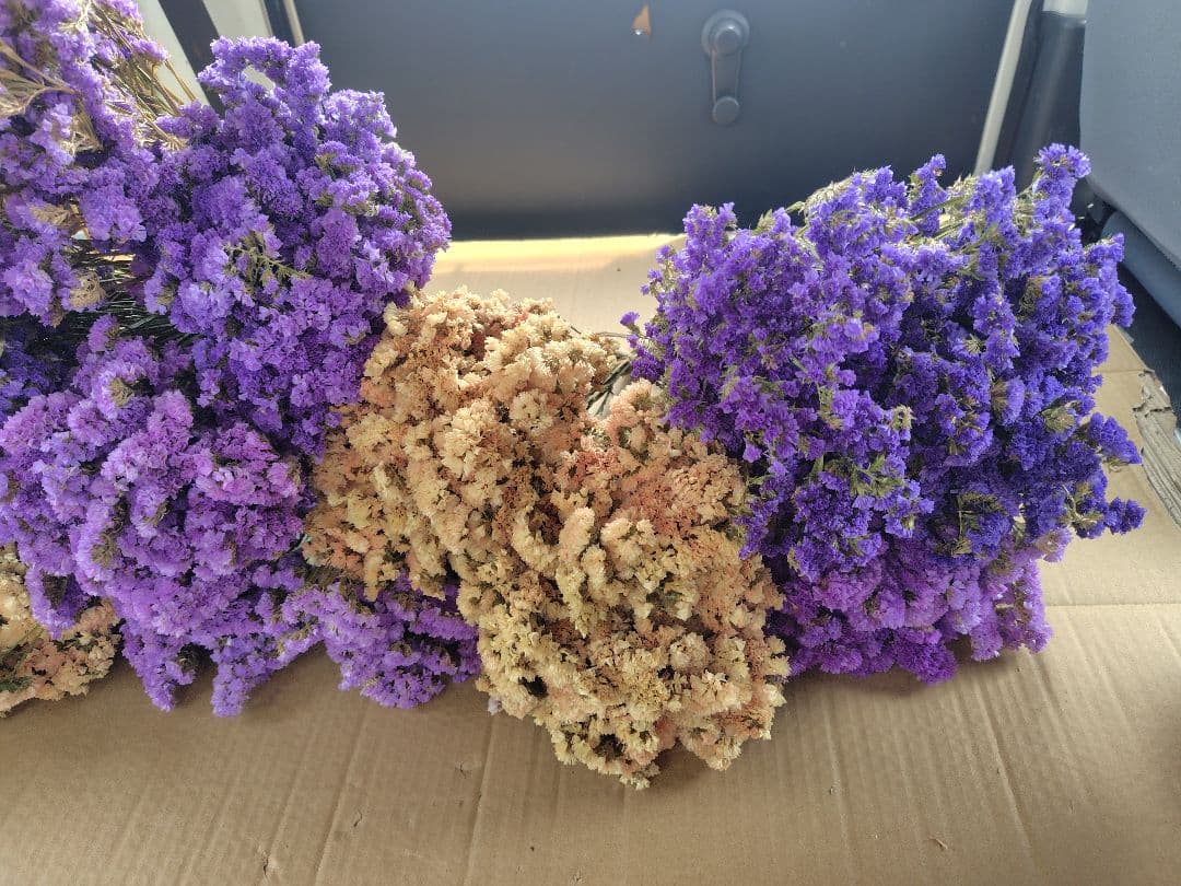 ex46jp様　おまとめ。①②ドライフラワー 紫 白 ベージュ 複数束　大量。