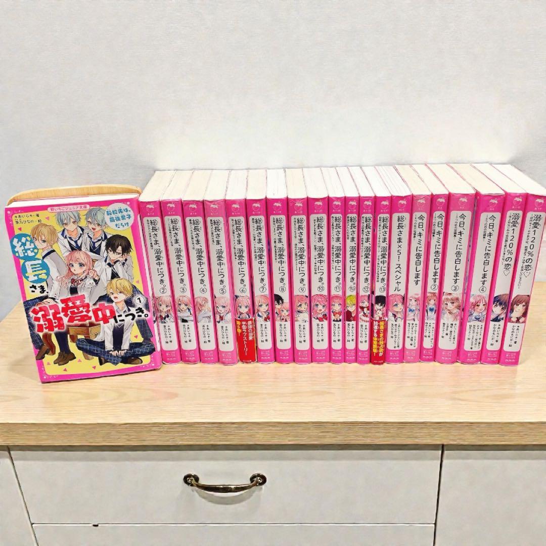 【合計21冊 】総長さま、溺愛中につき。1-13巻 +今日、キミに告白します　他