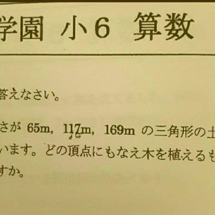 浜学園　解答用紙付　小６ 2024年度　Vクラス　復習テスト　３科　国語算数理科