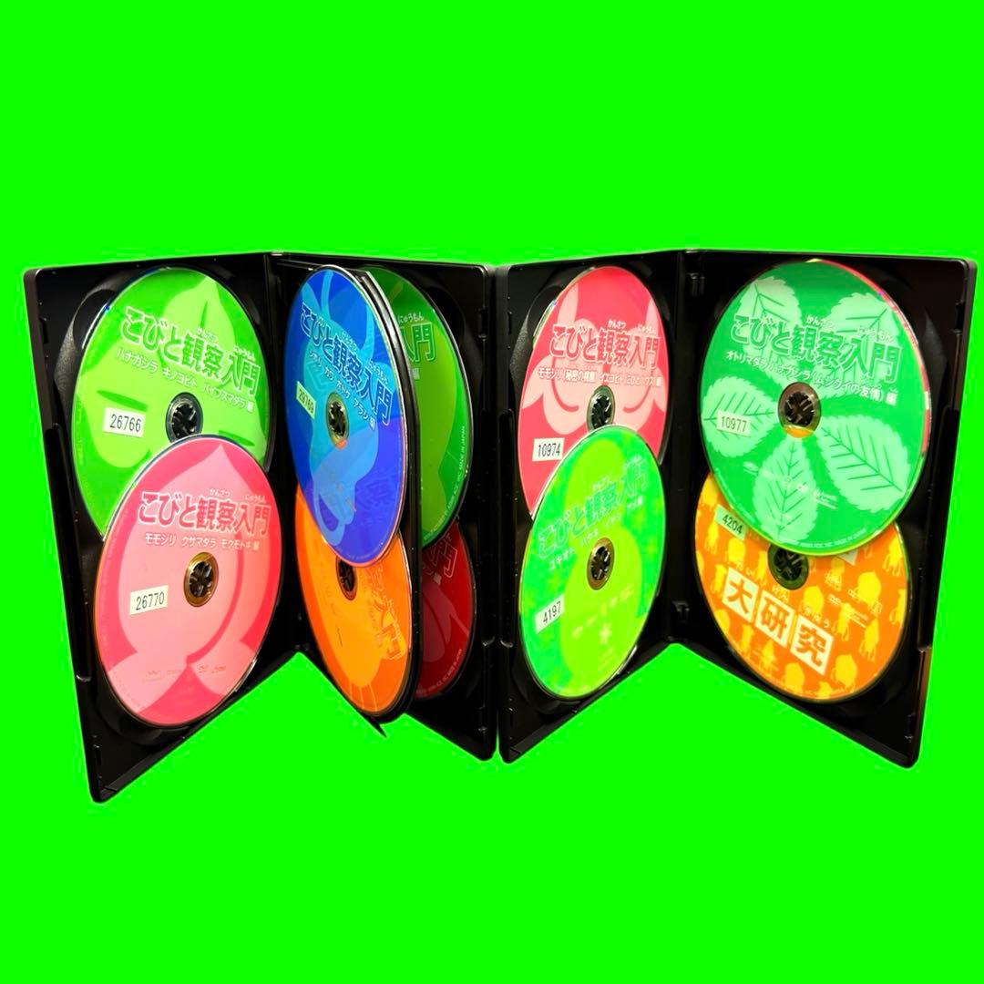 ケース付　こびと観察入門（10巻セット）全9巻、こびと大研究 DVD