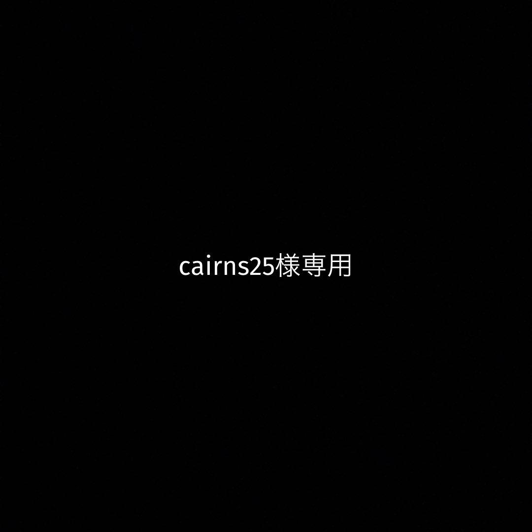 語学・辞書・学習参考書 cairns25