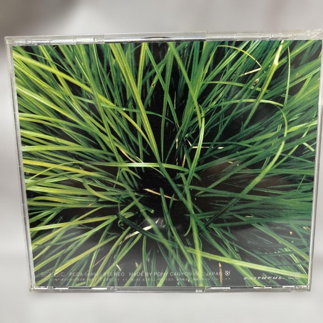 エレファントカシマシ CD サイン入り　宮本浩次　ココロに花を