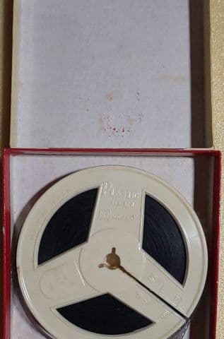 爆レア！8mmフィルム 拾った仔猫 TOKYO LILLI