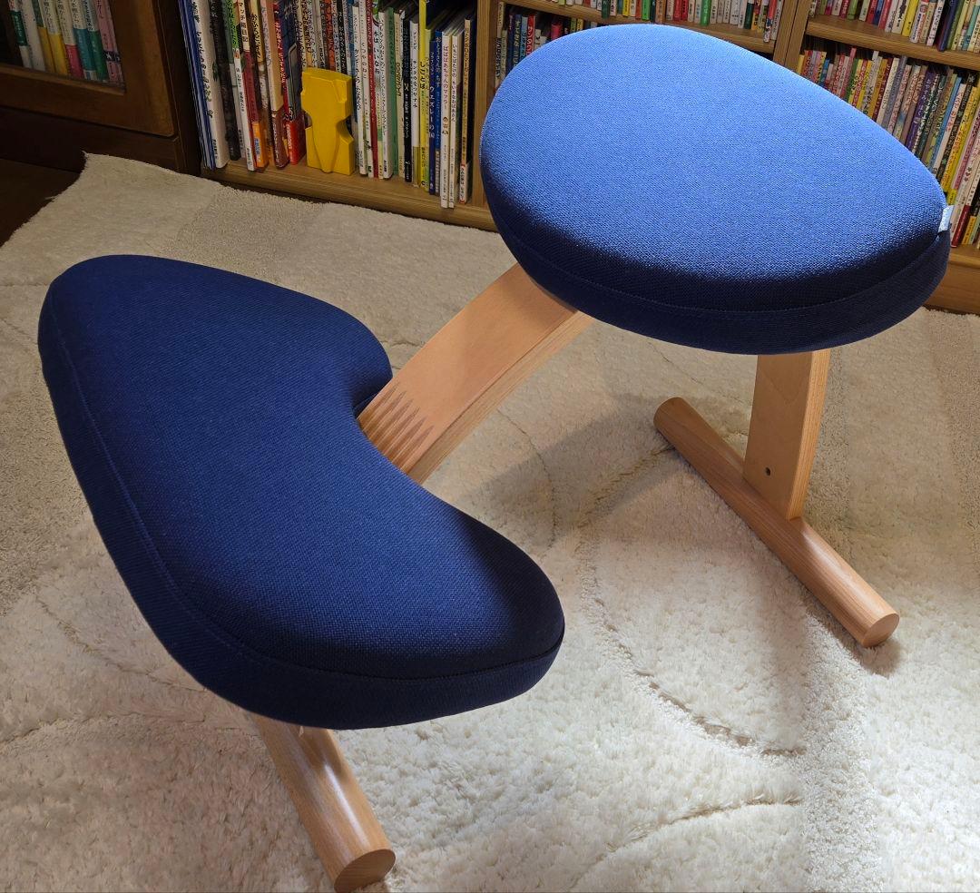 バランスイージー サカモトハウス　ネイビー 姿勢矯正チェア