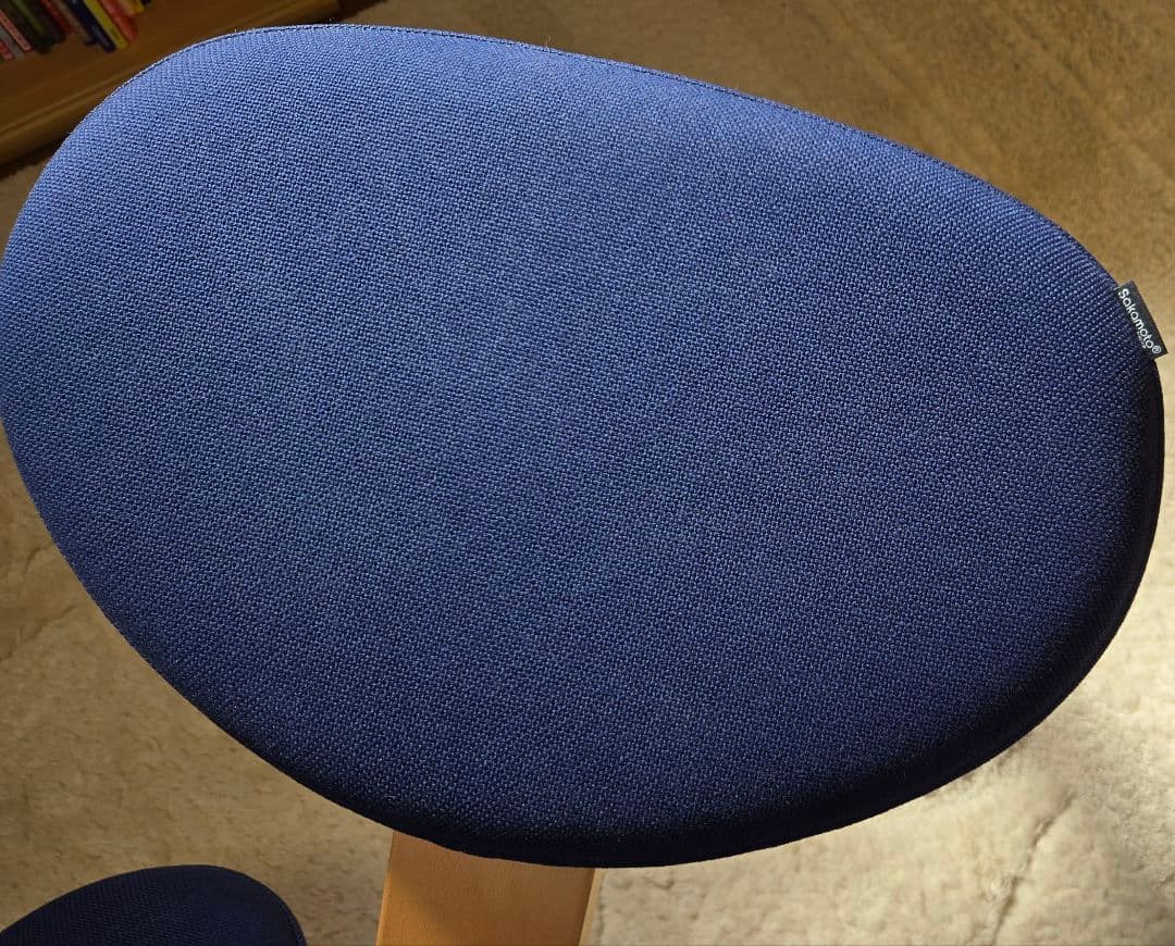 バランスイージー サカモトハウス　ネイビー 姿勢矯正チェア