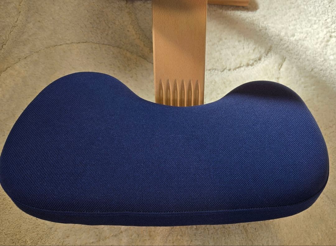 バランスイージー サカモトハウス　ネイビー 姿勢矯正チェア