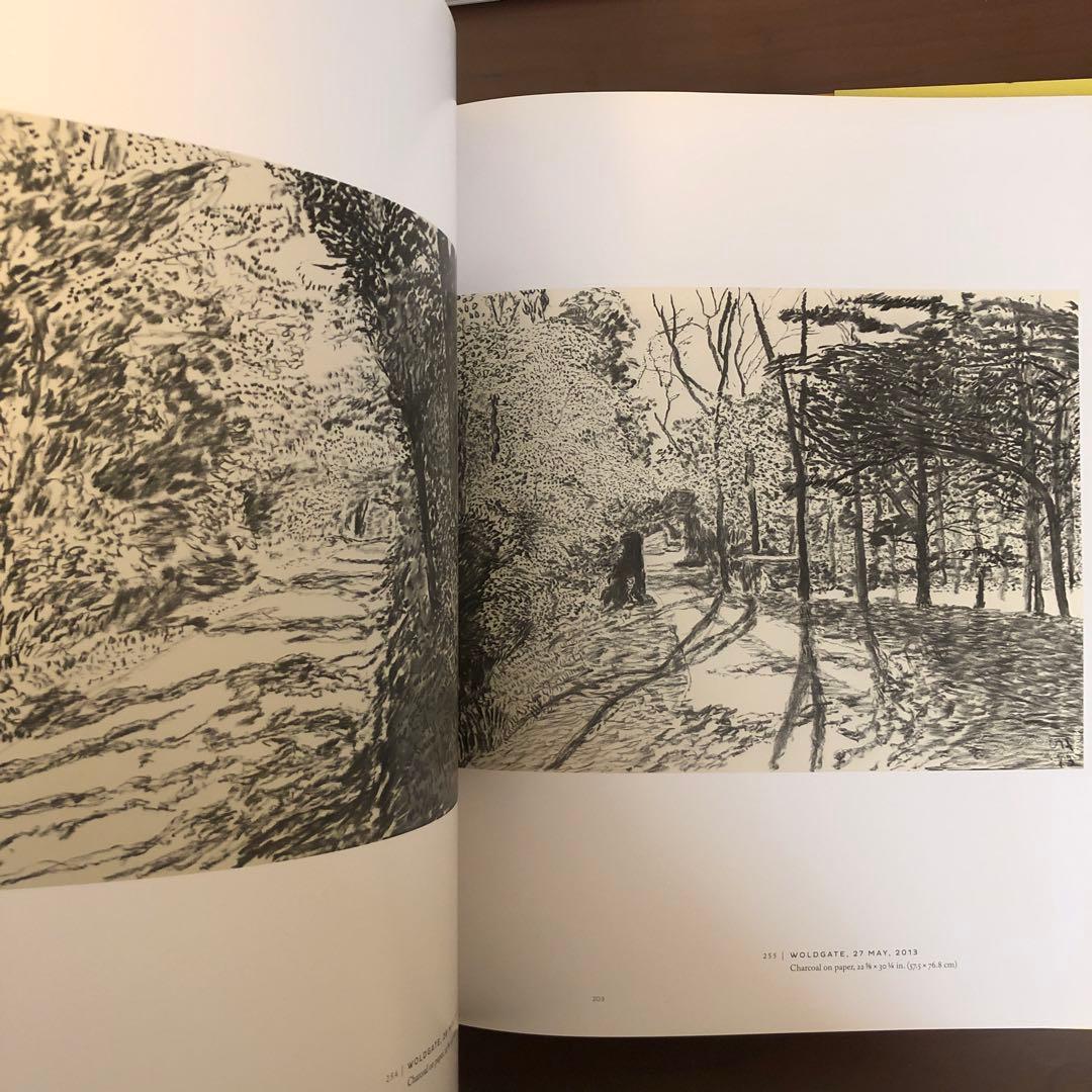 DAVID HOCKNEY A Bigger Exhibition ホックニー