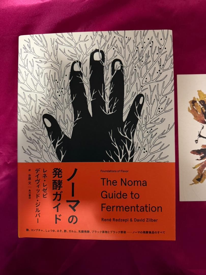 ノーマの発酵ガイド