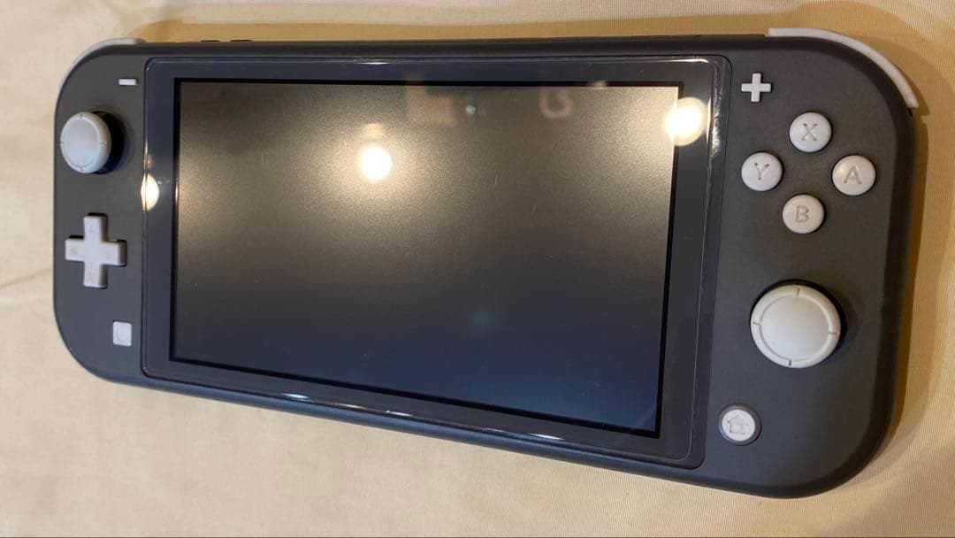 ジャンク品】充電器付きNintendo Switch Lite グレー