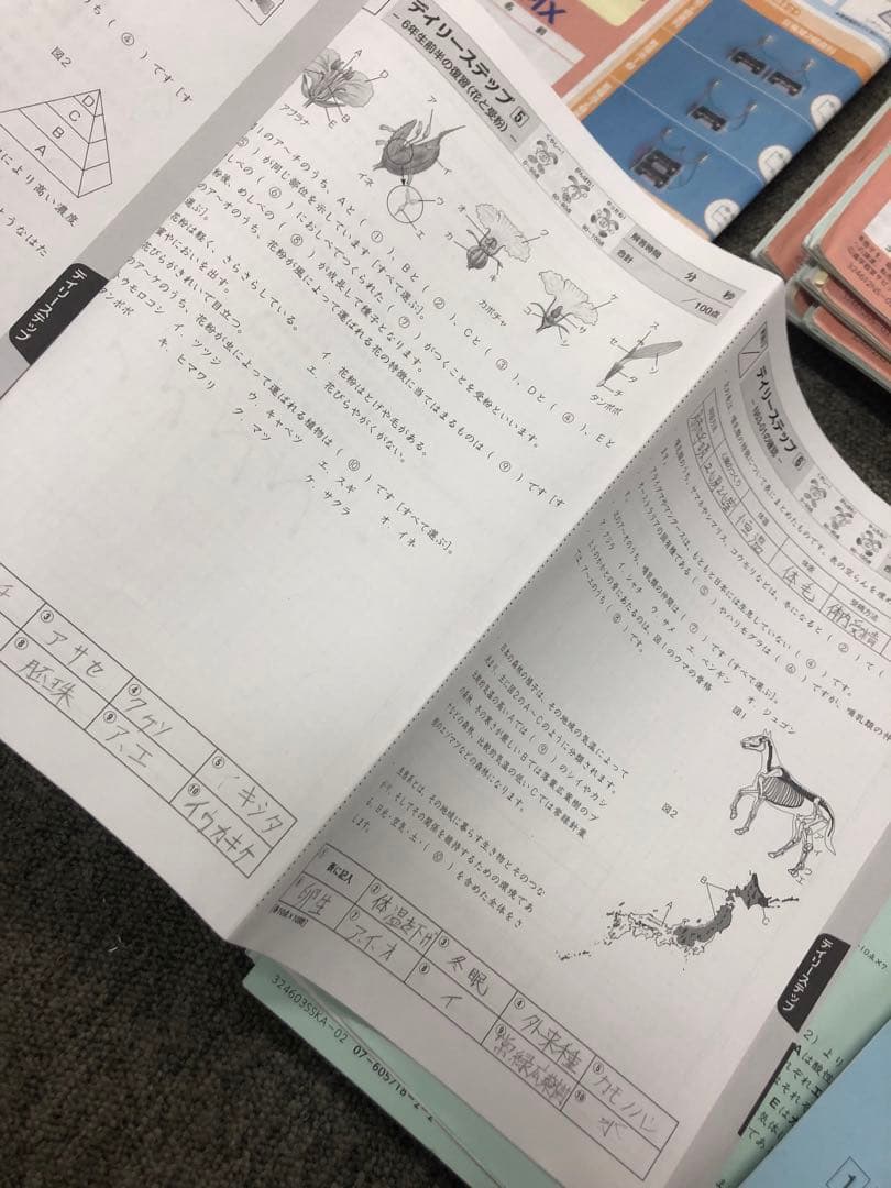 サピックス　６年理科　開成対策/α2　デイリー/春夏/土特 /日特/入試実戦