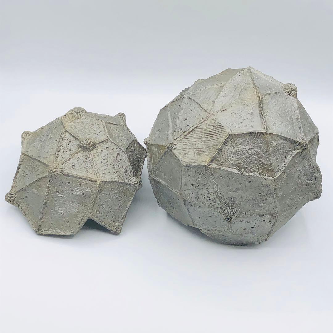 エクスプラス 大怪獣シリーズ ウルトラQ ガラダマ カラー 限定品