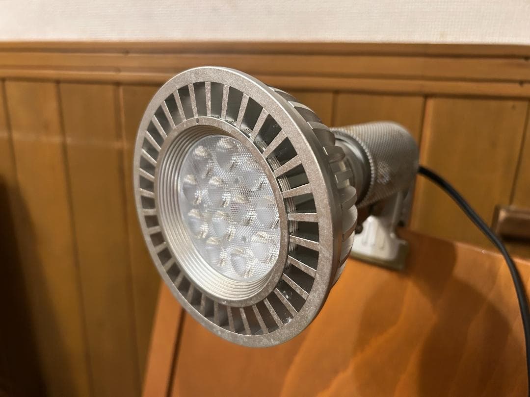 Grassy LeDio RX122RF ボルクスジャパン