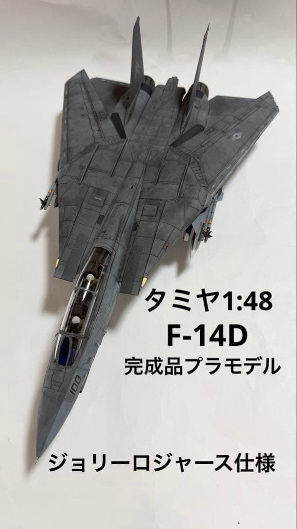 タミヤ 1/48 ジョリーロジャース仕様F-14D トムキャット 完成品