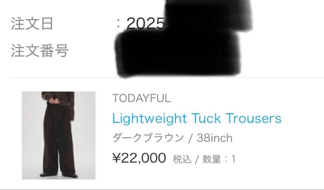 パンツ TODAYFUL Lightweight Tuck Trousers