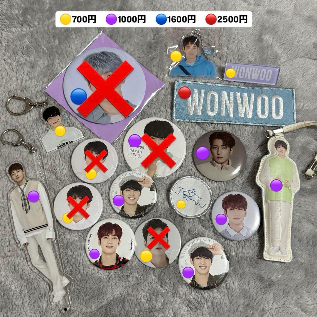 SEVENTEEN ウォヌ　缶バッジ