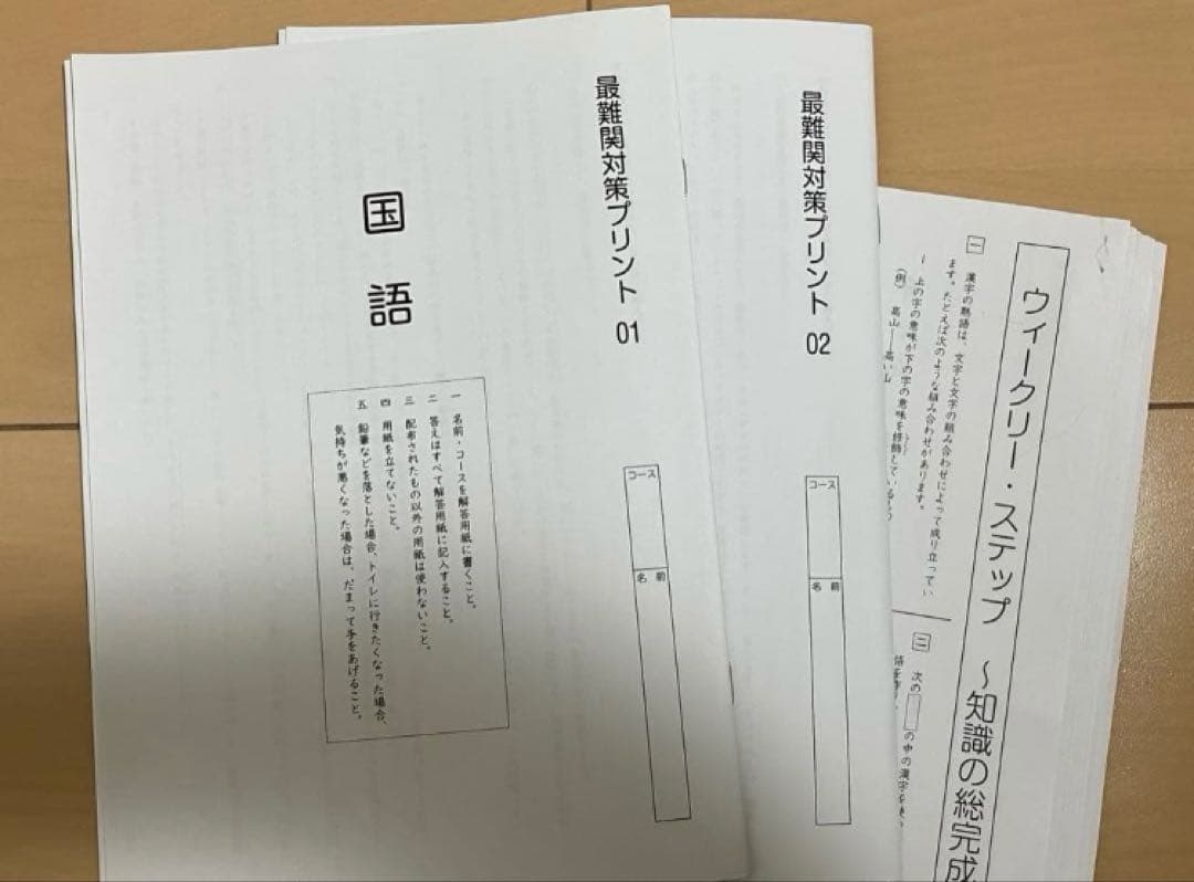 小6 国語 デイリーサピックス 24回分+春期講習•夏期講習 ウィークリーサピ他