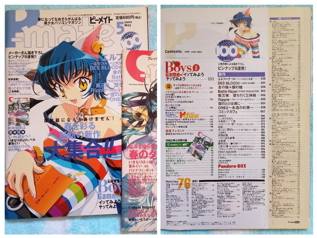 ピーメイト　2002年1月号〜12月号セット