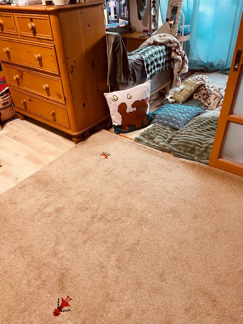 ギャッベ大判期間3Ｗ美品ペルシャ絨毯