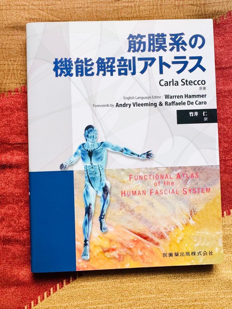 【美品】筋膜系の機能解剖アトラス／Carla Stecco（竹井仁訳）