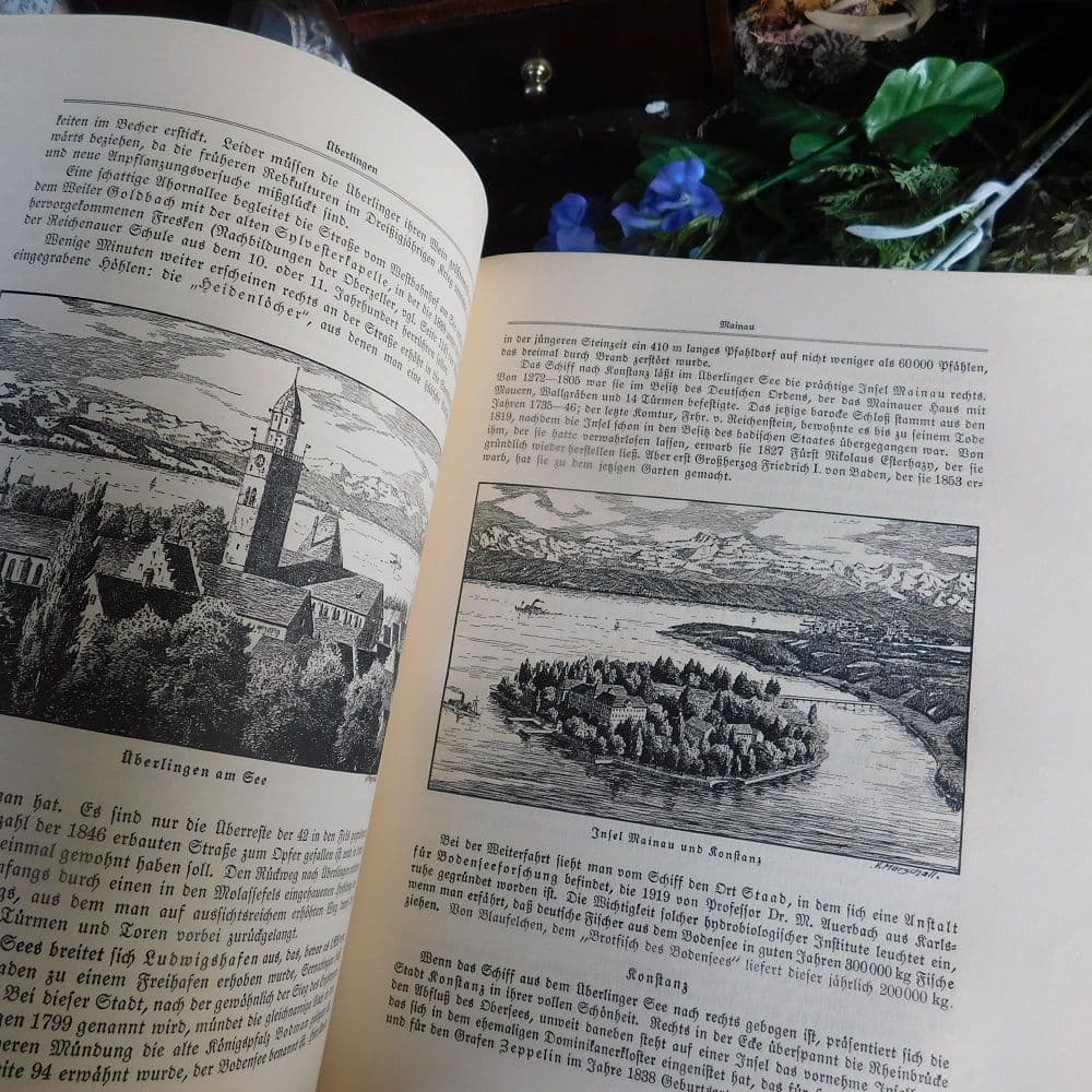 3冊セット.:*゜背表紙が素敵なドイツとチェコの古書　19－20世紀　まとめ売り