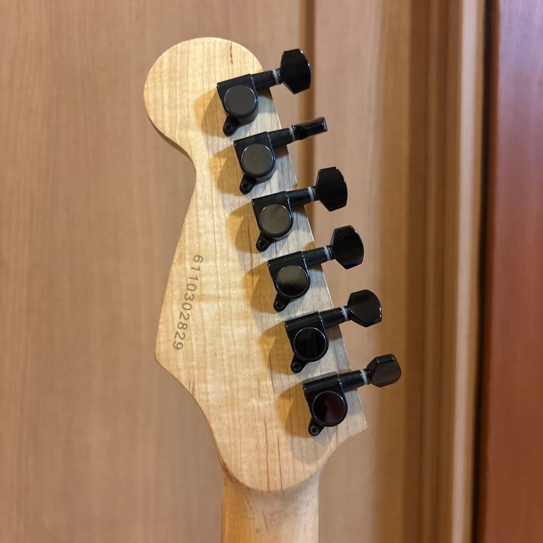 Legend by Aria Pro II 希少 ブラックパーツ仕様 アーム付