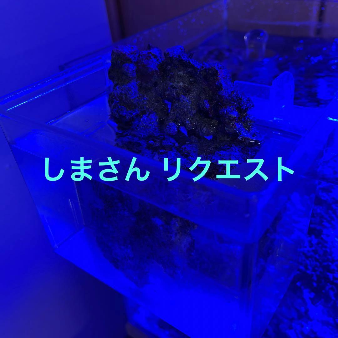 天然ライブロック　チキンカツレツ