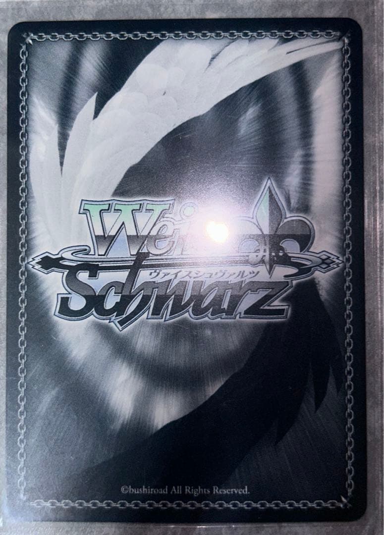 始まりの目撃者へ　すばる