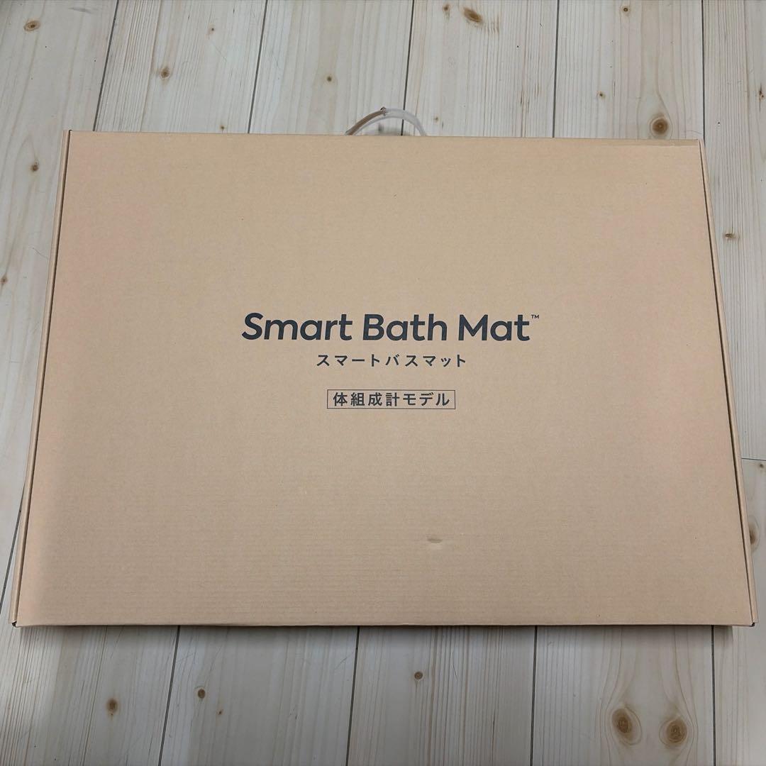 新品 issin スマートバスマット 体組成計モデル 珪藻土マット（グレー）