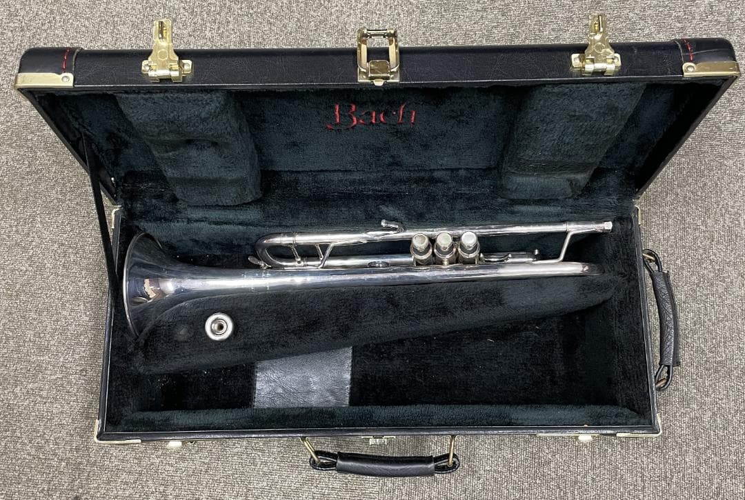 L*y様 トランペット バック180MLS