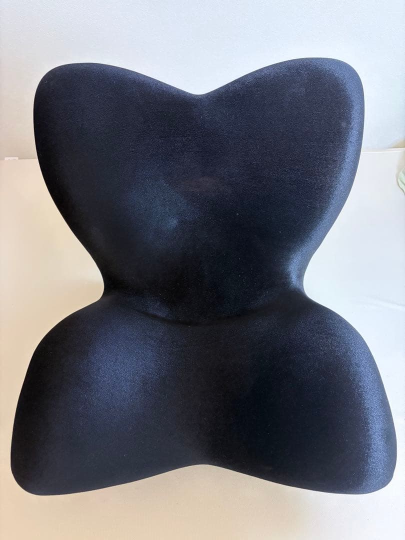 Style PREMIUM DX スタイルプレミアム デラックス