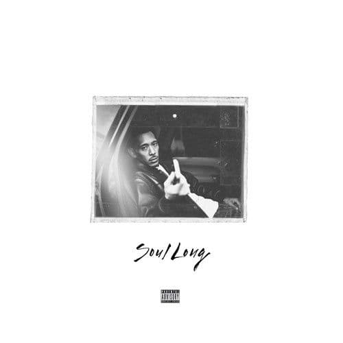 IO　Soul Long　10th アナログレコード　２枚組 180g重量盤